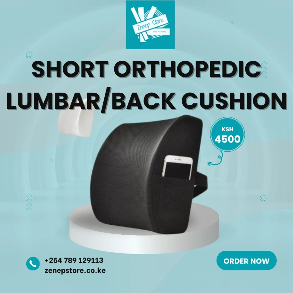 Best Orthopedic Seat Backs for Car and Office in Kenya | Zenep Store